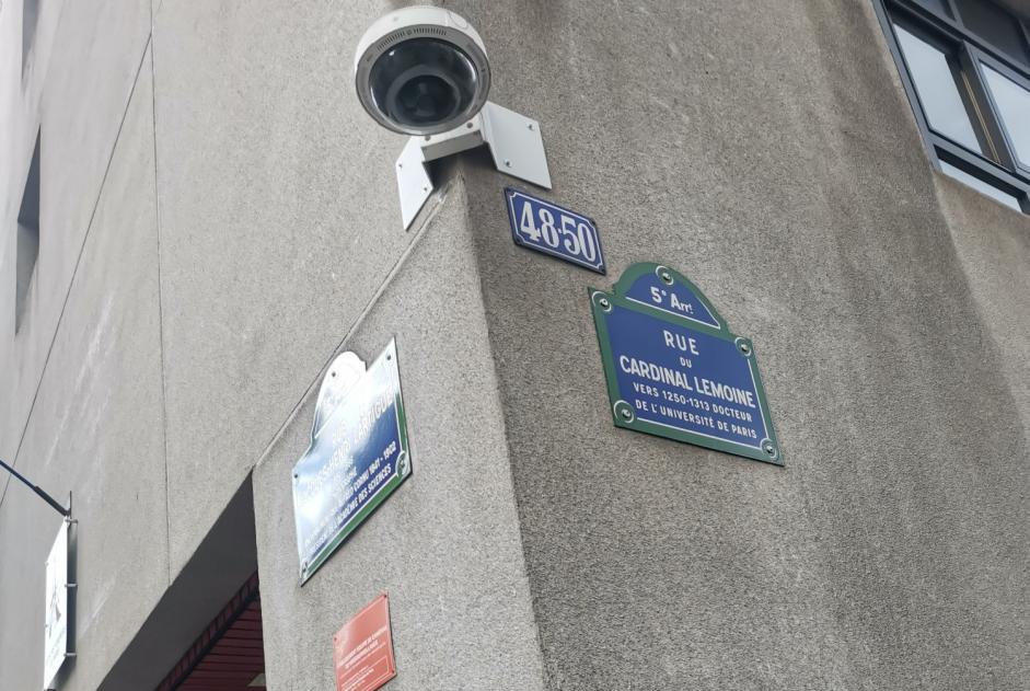 Discovery alert Dog Unknown Paris France